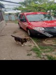 продам Volkswagen Caddy в пмр  фото 2