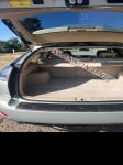 продам Lexus RX 400h в пмр  фото 1